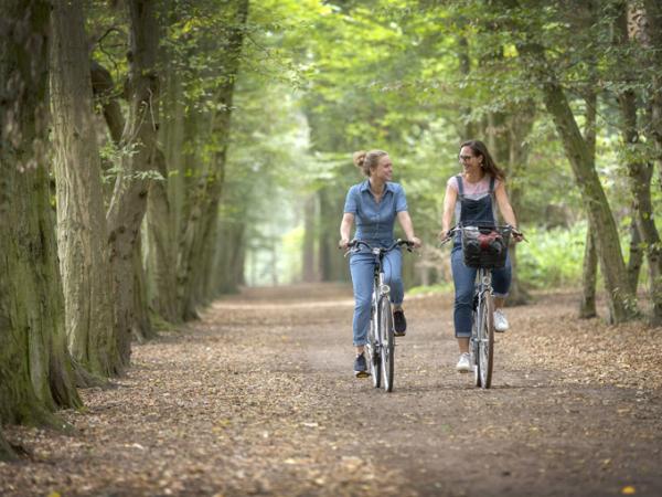 Cyclists near Bokijk