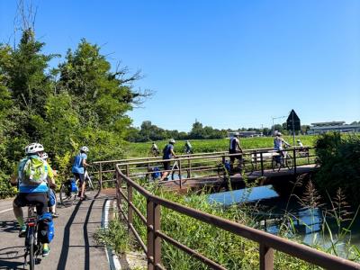 Cycle Group