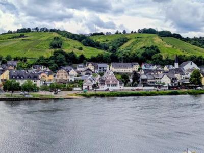 Panoramic view of the River Moselle, with houses and green hills on the opposite bank