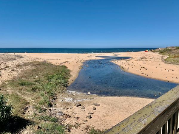 View over a beach