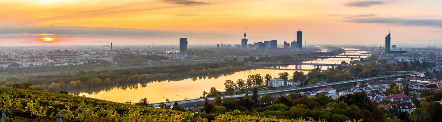 Vienna Panoramic View