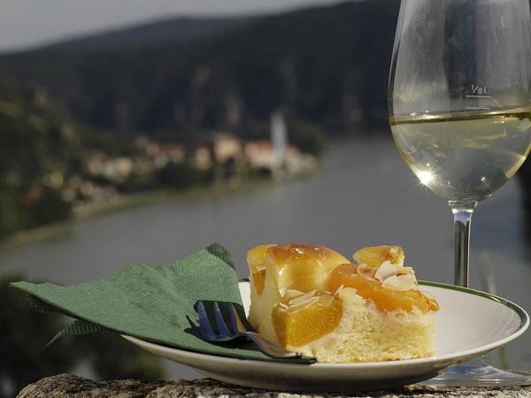 Apricot cake and Wachau wine