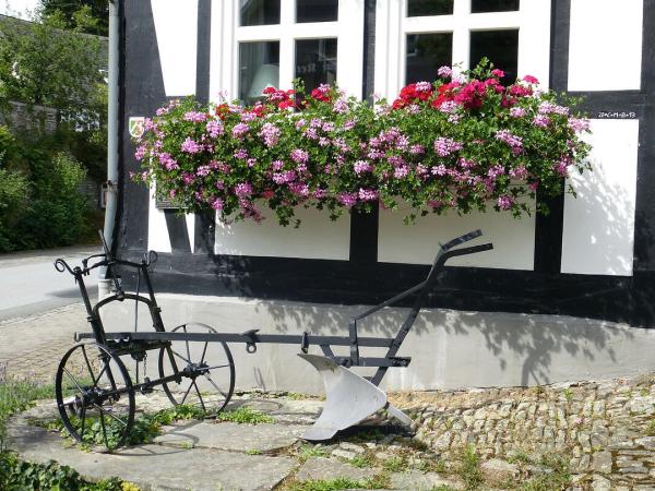 Rosendorf Assinghausen