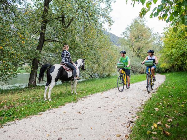 Meeting a horse on the way