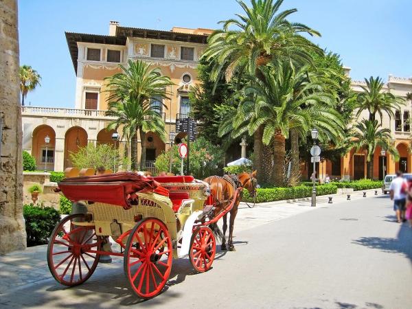Horse Carriage in Palma