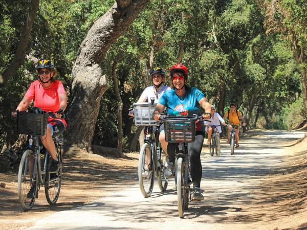 Between the pine woods on Porquerolles