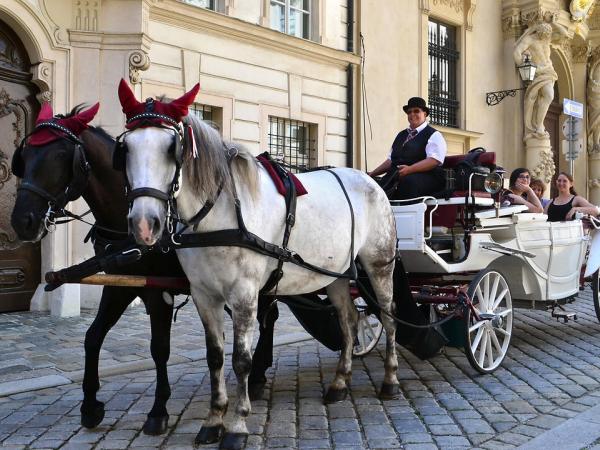 Vienna Fiaker