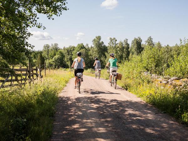 Cycling group in Smaland