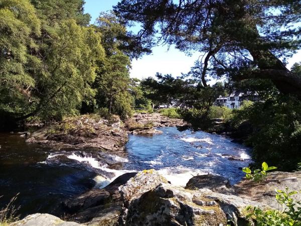 Water landscapes