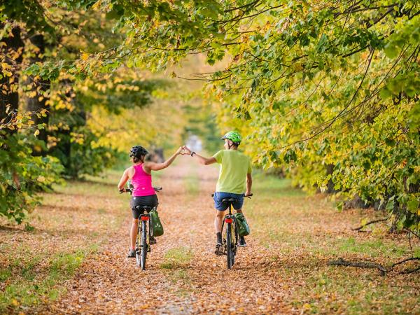 Cycling with a heart