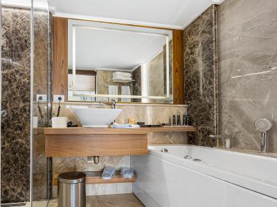 Executive Suite bathroom