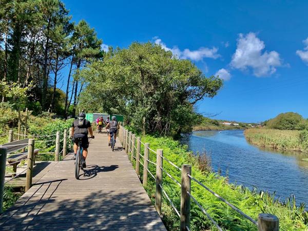 Cyclists on the bike path