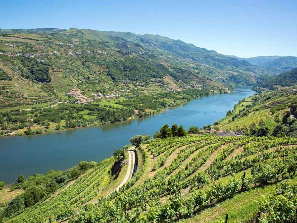 douro valley with wine terraces