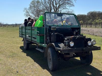 Group transport