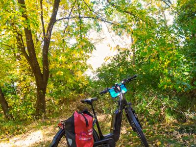 Autumn vibes on the cyle path
