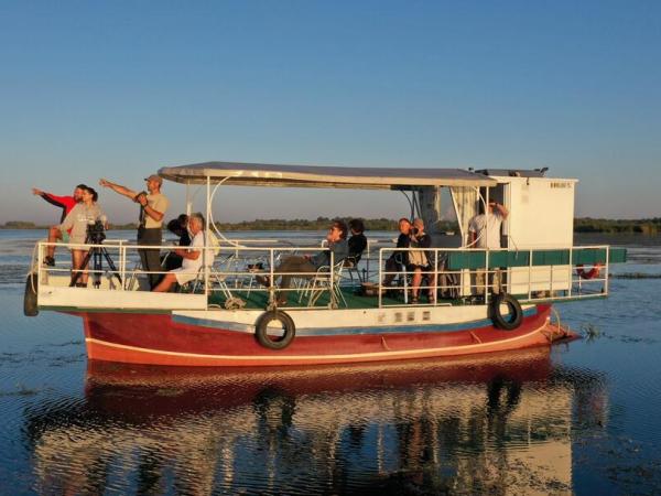 Driving through the canals of the danube delta