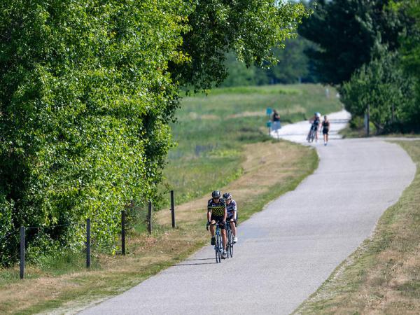 Radfahrer am Neusiedlersee Radweg