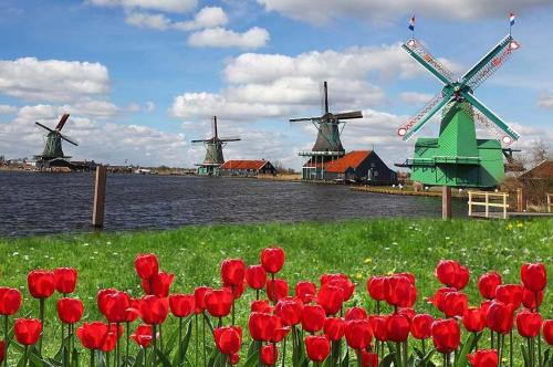 Windmills in Netherlands, Zaanse Schans