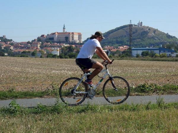 Cyclist in front of Mikulov Castle