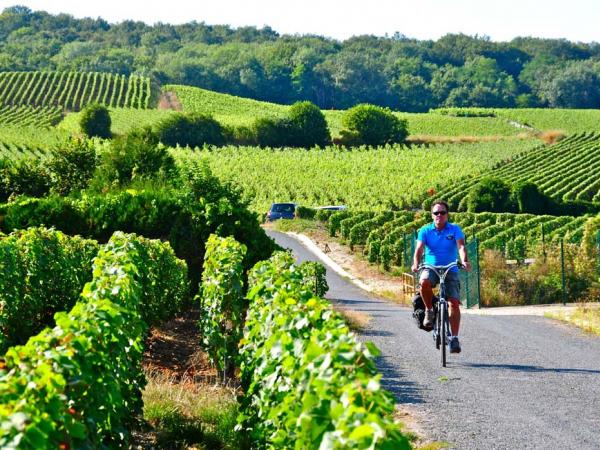 Champagne & Paris by Bike + Boat - cyclist in the vineyards