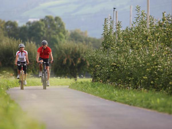 Cyclists on their way to Lienz 
