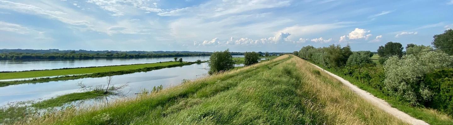 Vistula landscape