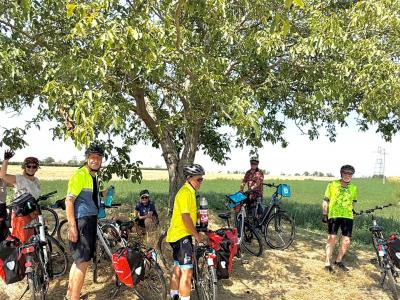 Cyclists resting under a shady tree
