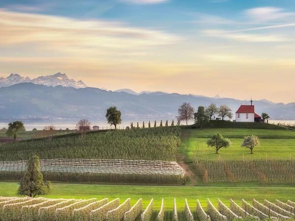 Lake Constance near Lindau