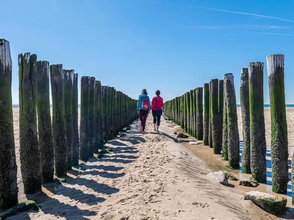 Zoutelande beach views