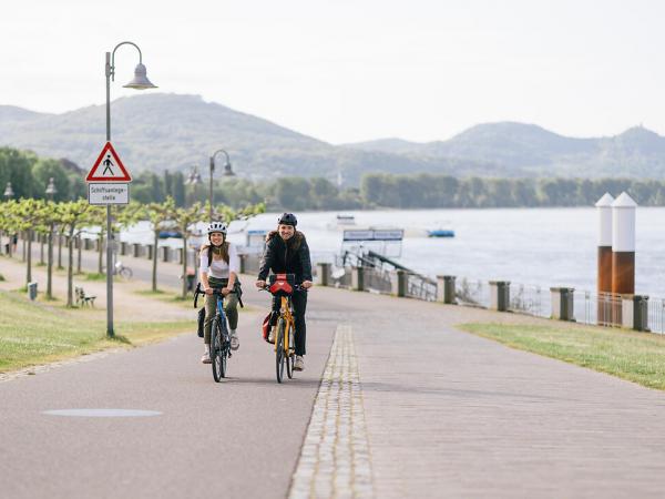 Cyclists on the Rhine Cycle Path