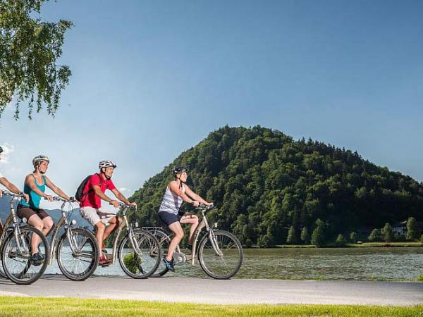 Danube loop - cyclists