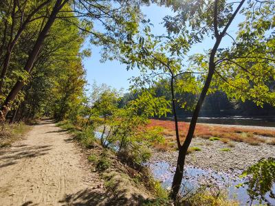 Fluss Mur mit Radweg - Slowenien Rad+Wellness