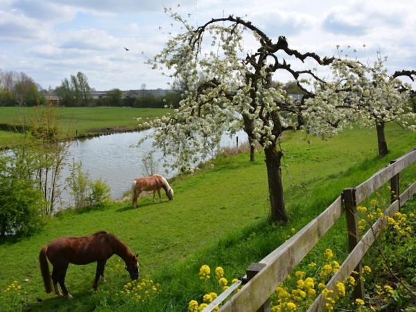 Betuwe landscape with horses