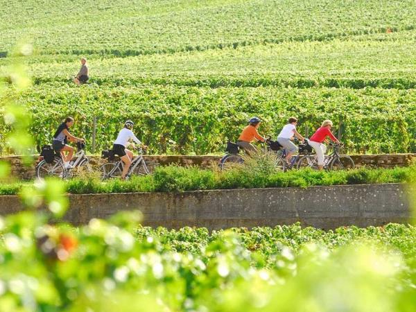 cyclists in the Burgundy
