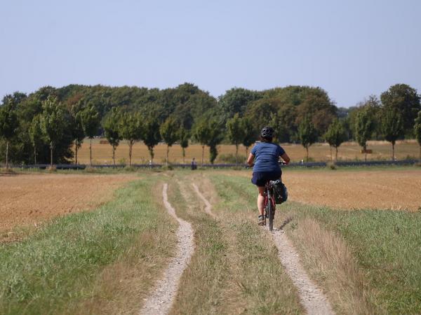 Cycling in the fields of R�gen