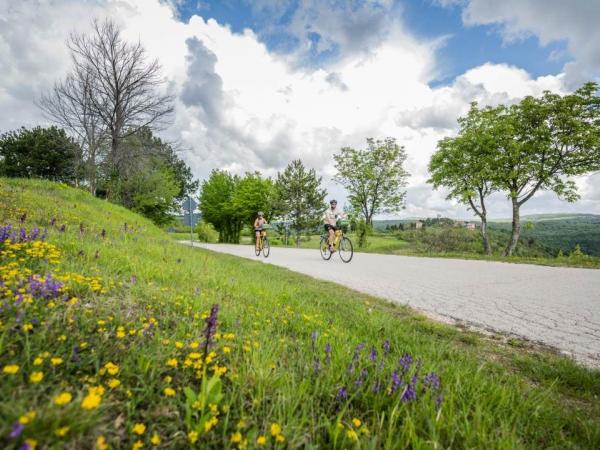 Cycling trough Istria