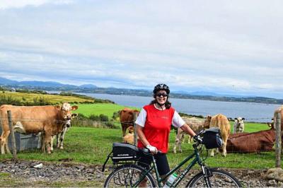 Radfahrer und Kühe - Schätze Irlands