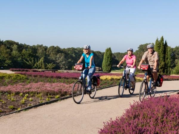 cyclists at the Lüneburg Heath