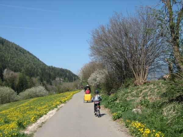 Cycling path to Bozen 