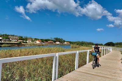 Cyclist on the coast