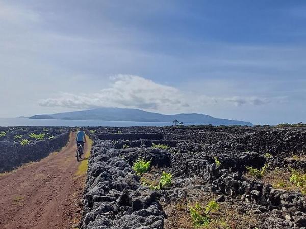 Cycling in vulcanic landscape on Pico