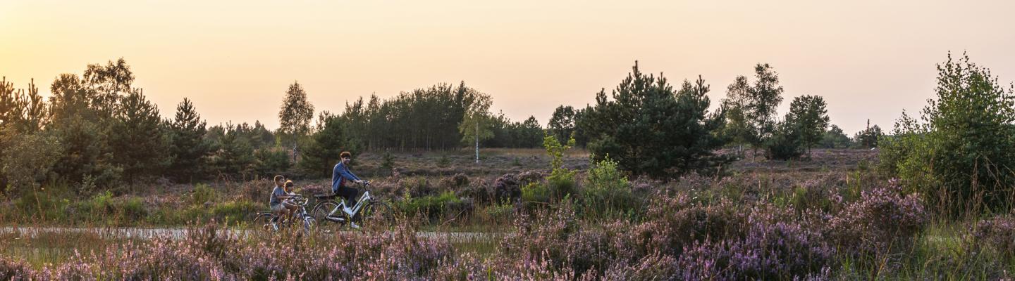 Cycling through the heath