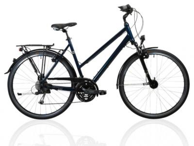 Rental bike