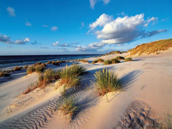 Dunes Fischland-Dar-Zingst
