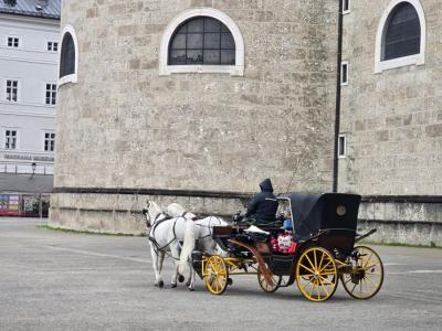 Salzburg Horse Carriage