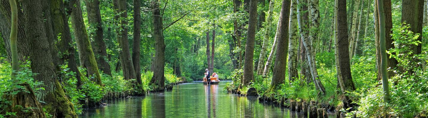 Canoe ride in Lbbenau | © Adobe Stock / LianeM