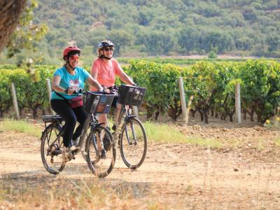 In the vinyards of Le Lavandou