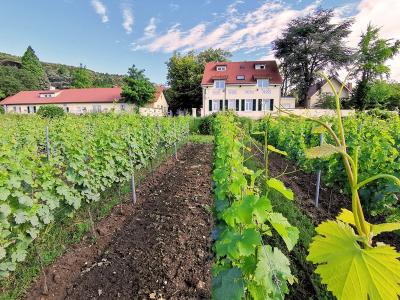 Hotel Annaberg wine garden