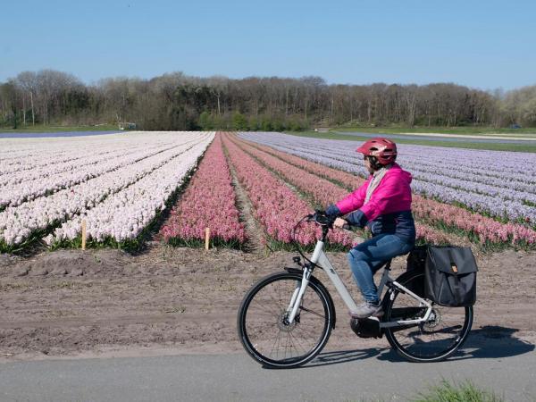 Cyclist in front of a flower field