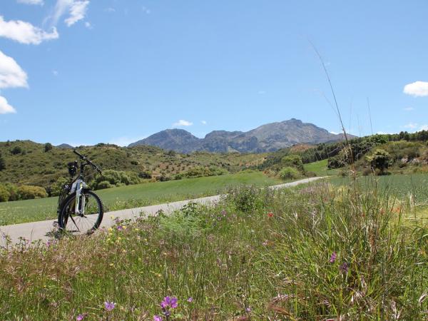 Fahrrad in der Landschaft Andalusiens